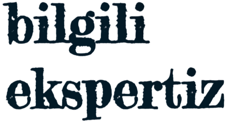Bilgili Ekspertiz